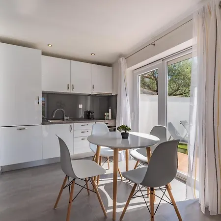 Bernie With A Pool * 扎达尔