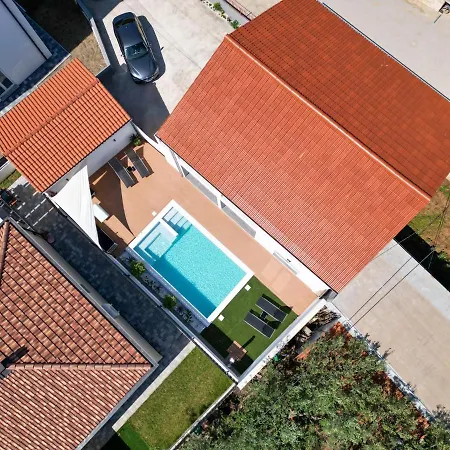 Bernie With A Pool * 扎达尔