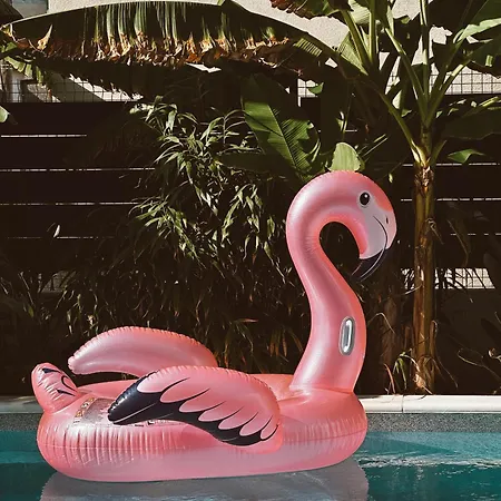 Bernie With A Pool