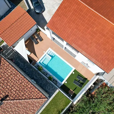 Bernie With A Pool Ζαντάρ